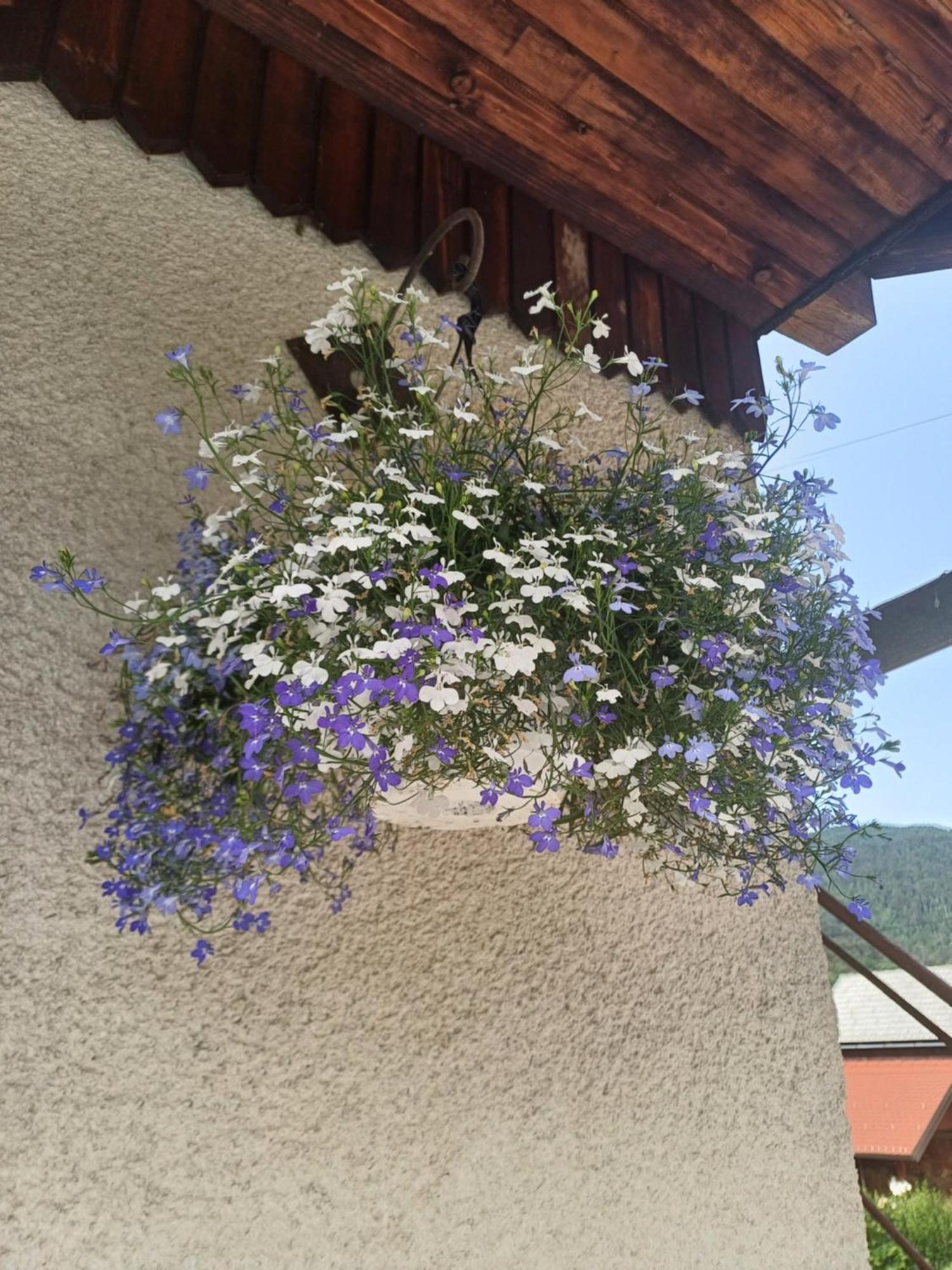 Apartma Ginga Osilnica ภายนอก รูปภาพ